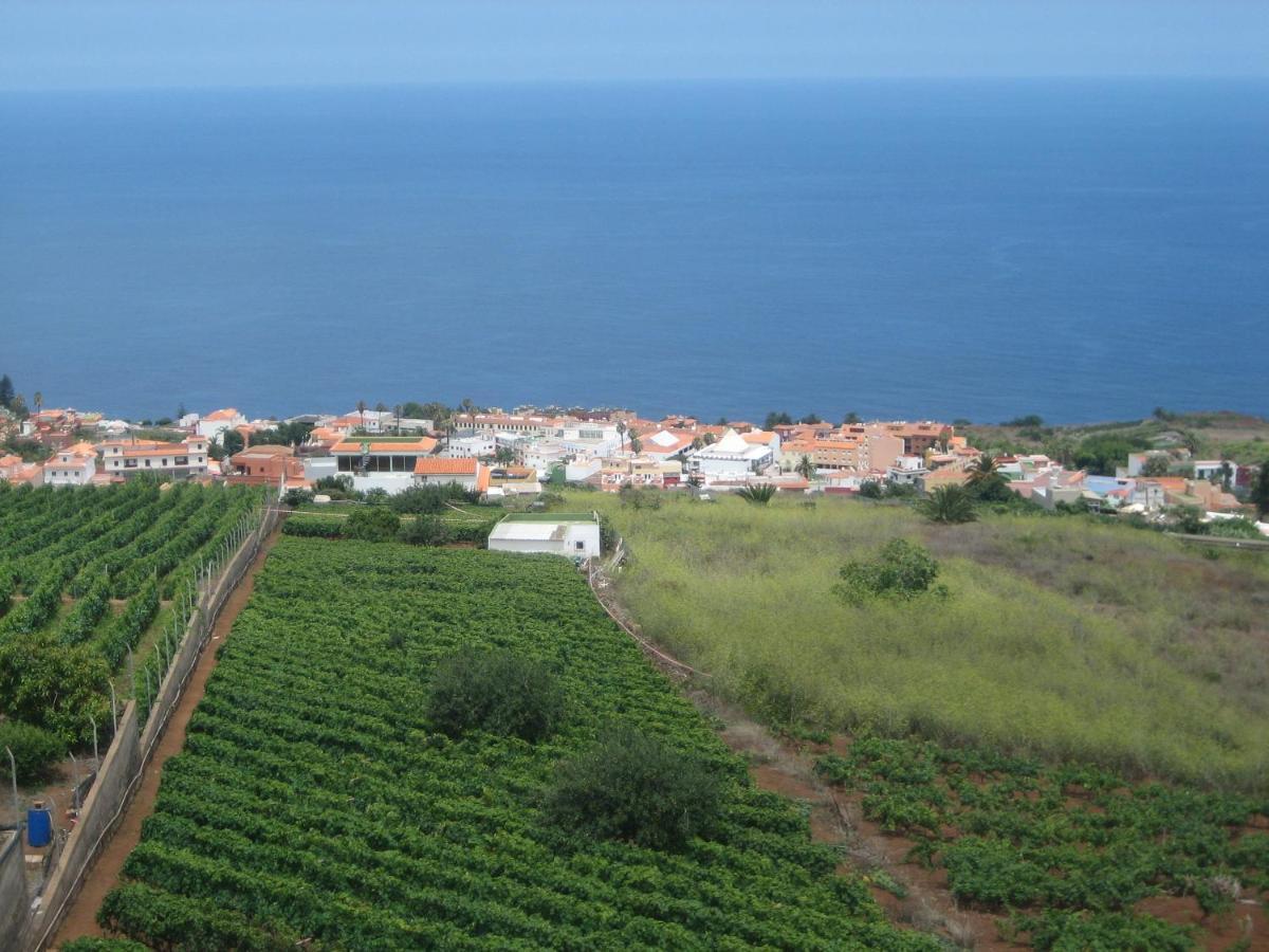 Comodo Estudio En El Norte De Tenerife El El Sauzal Exterior foto