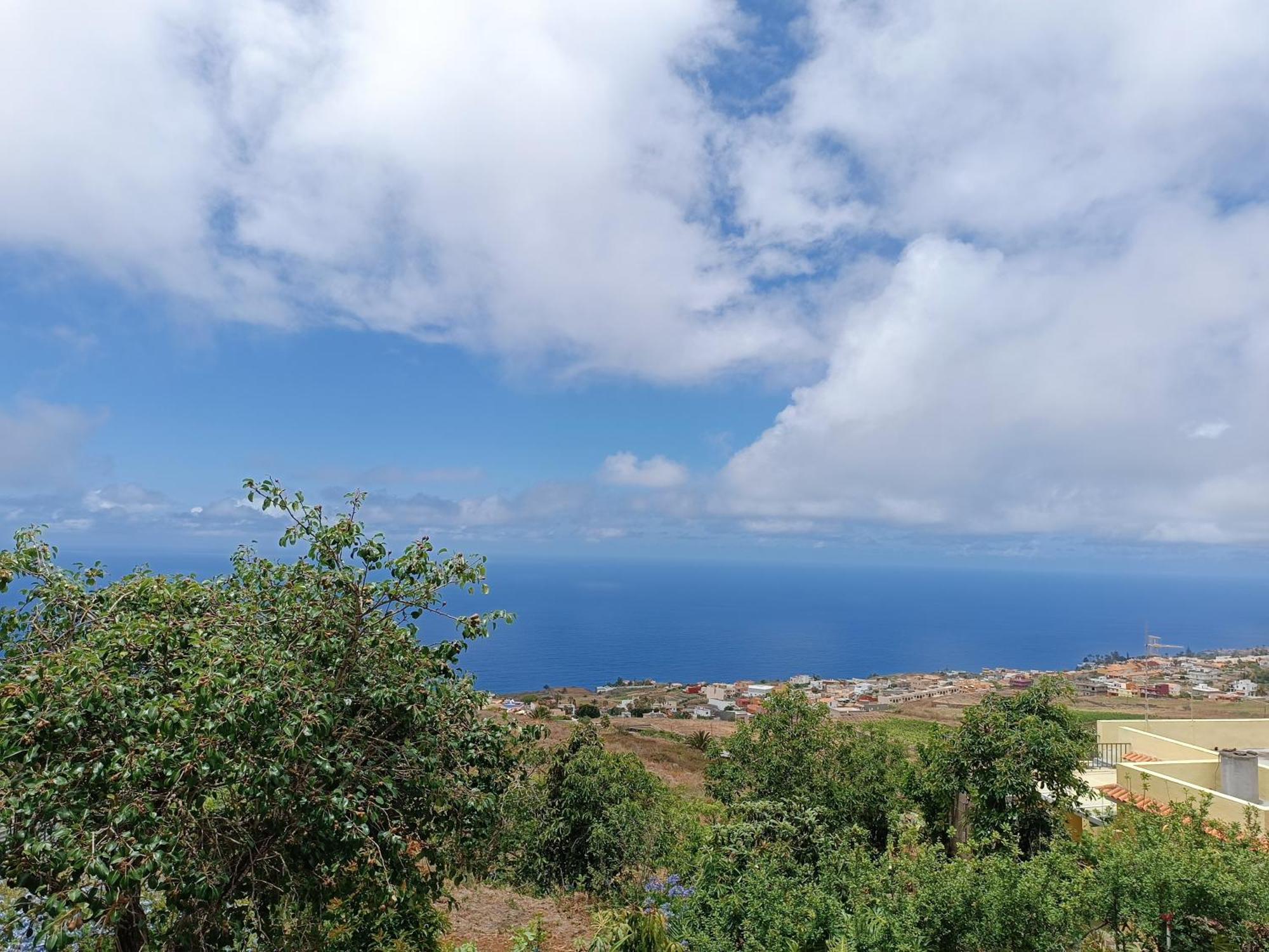 Comodo Estudio En El Norte De Tenerife El El Sauzal Exterior foto